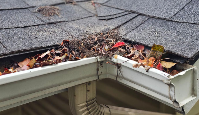 Clogged roof gutter filled with leaves and debris beside asphalt shingles
