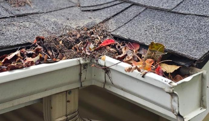 Clogged house gutter filled with leaves and debris