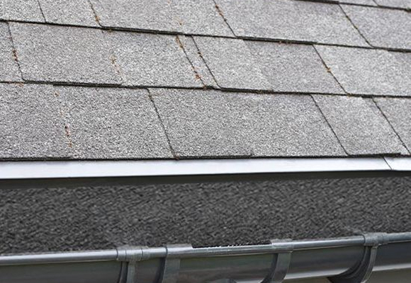 Installed foam gutter guard