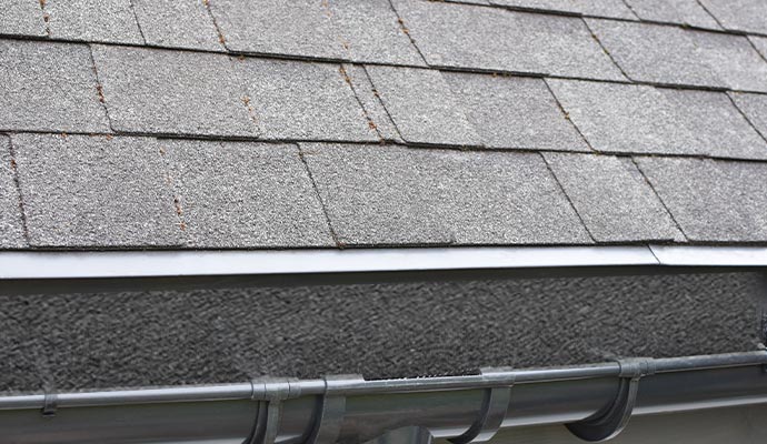 Foam gutter guard fitted inside a roof gutter, preventing leaves and debris from entering while allowing rainwater to drain properly