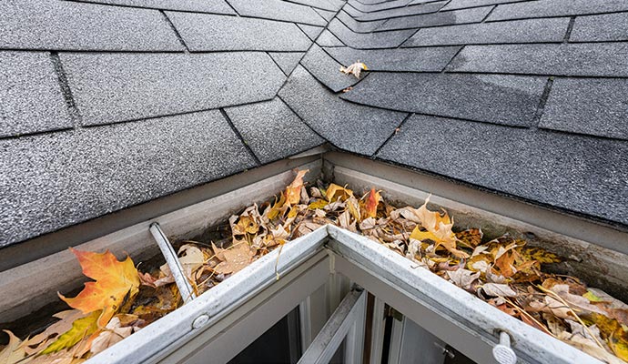 A roof gutter clogged with wet autumn leaves