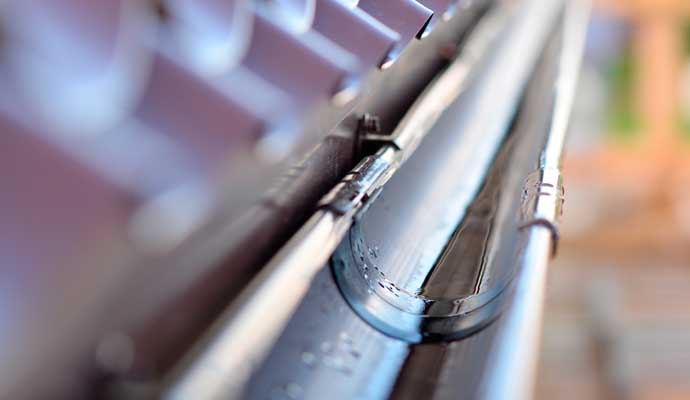 Gutter Cleaning Benefits in Boise & Meridian