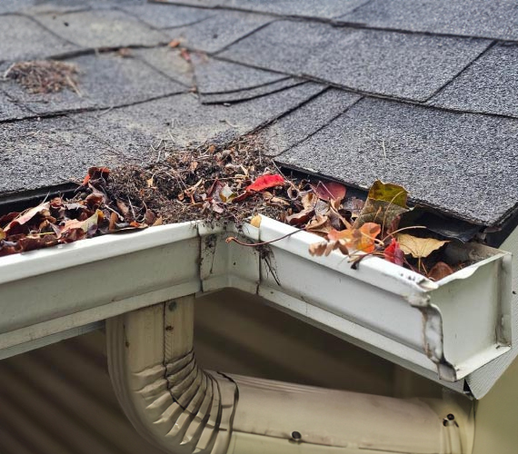 Clogged gutter