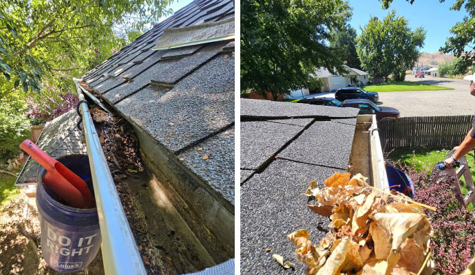 Debris and Twig Removal in Boise & Eagle, ID