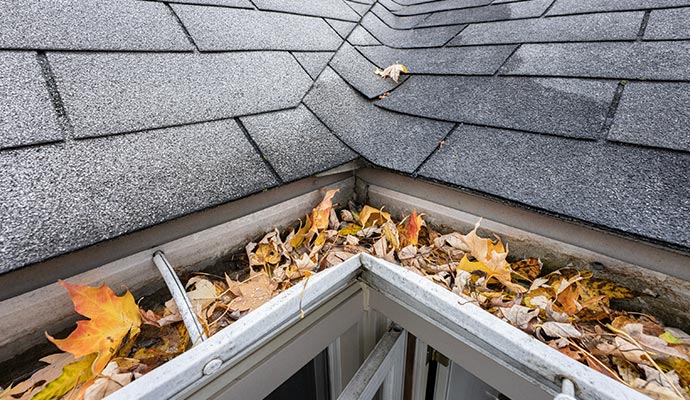 Hands removing fallen leaves and debris from a roof gutter during fall to restore proper water flow.