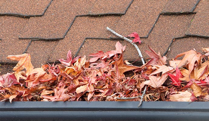 Gutter filled with dry autumn leaves