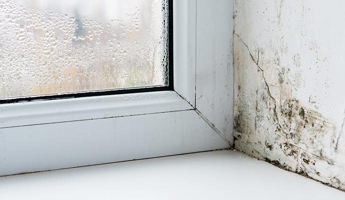 Moisture and mold buildup near a window frame, showing interior damage caused by water intrusion from poor drainage.