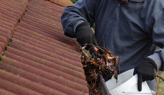 Person cleaning leaves from a roof gutter.
