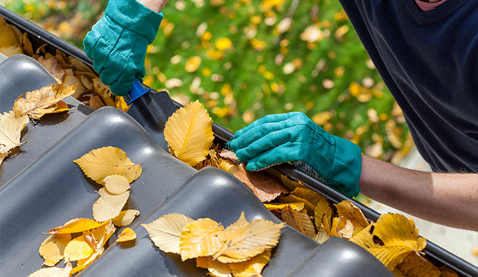 Seasonal Gutter Cleaning in Boise and Meridian, ID
