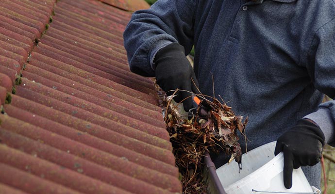 A professional removing leaves and twigs from a roof gutter to restore proper drainage and prevent overflow.