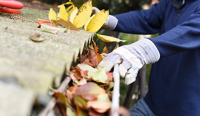 Hands removing fallen leaves and debris from a roof gutter during fall to restore proper water flow.
