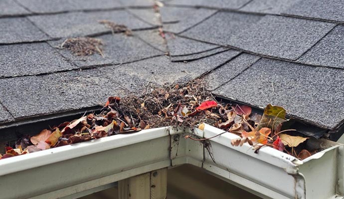 A roof gutter clogged with leaves and debris, showing clear signs that fall gutter cleaning is needed.