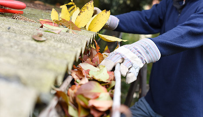 Technician cleaning leaf debris out of a roof gutter