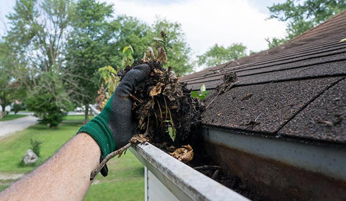 Expert removing debris and twigs from residential gutters