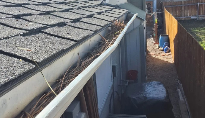 Roof gutter filled with pine needles and debris beside asphalt shingles