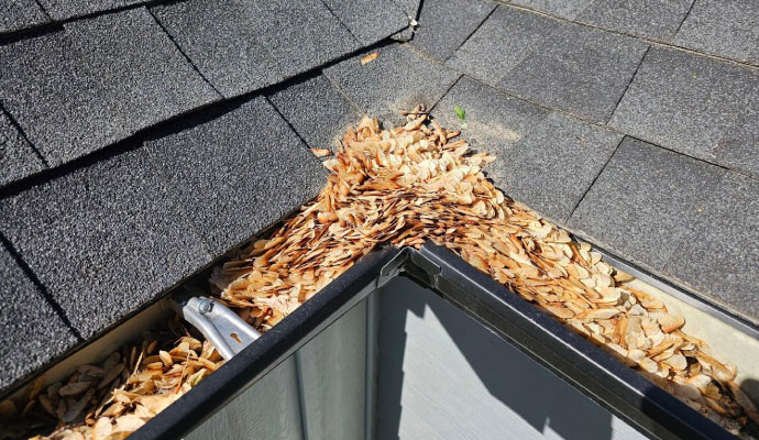 Roof gutter filled with seed pods and debris beside asphalt shingles