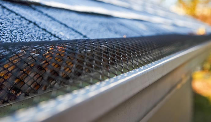 Installed gutter guard