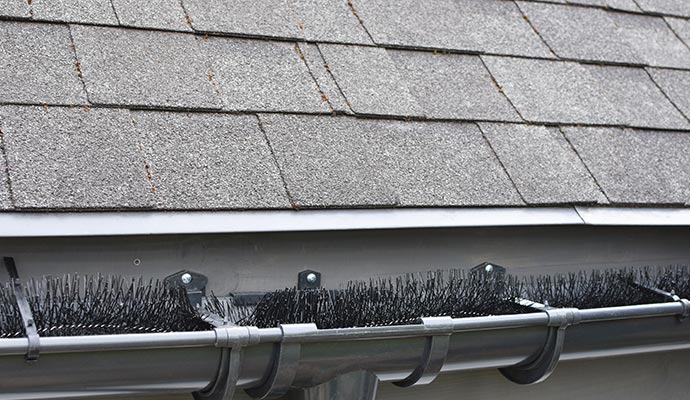Installed bottle brush gutter guard