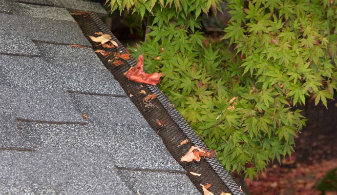 Installed leaf guards gutter guard