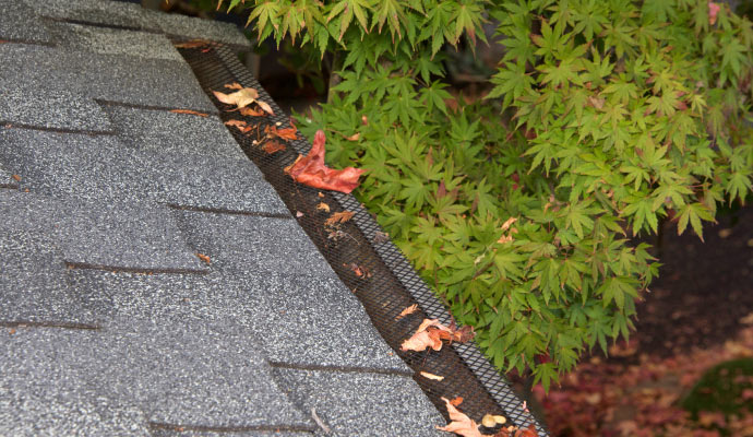 Leaf Relief® Gutter Guards Installation in Boise & Meridian