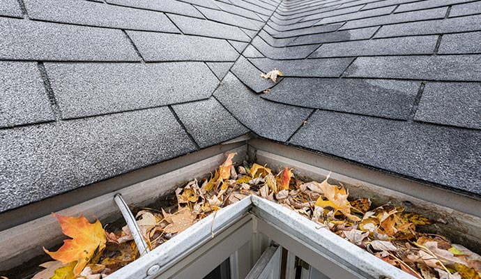 Clogged gutter filled with leaves