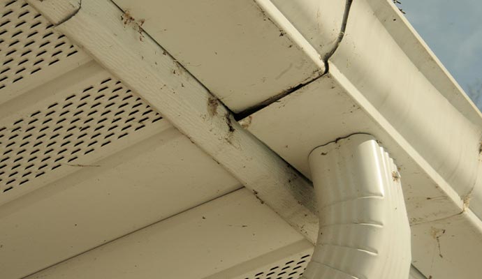 Leaked gutter