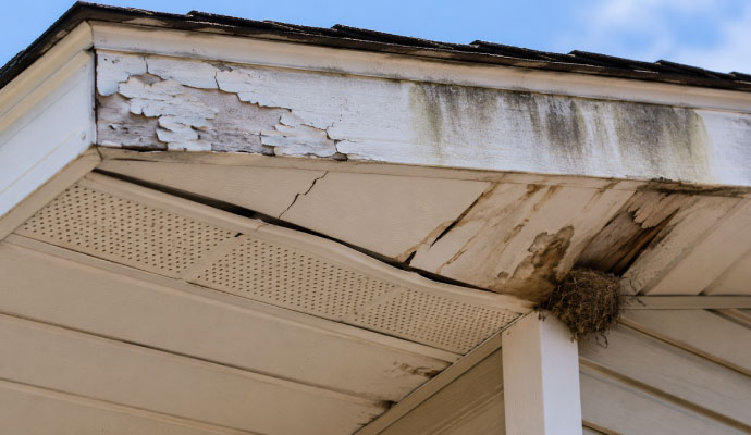Rotted soffit and fascia water damage