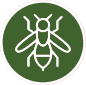 Pests Icon