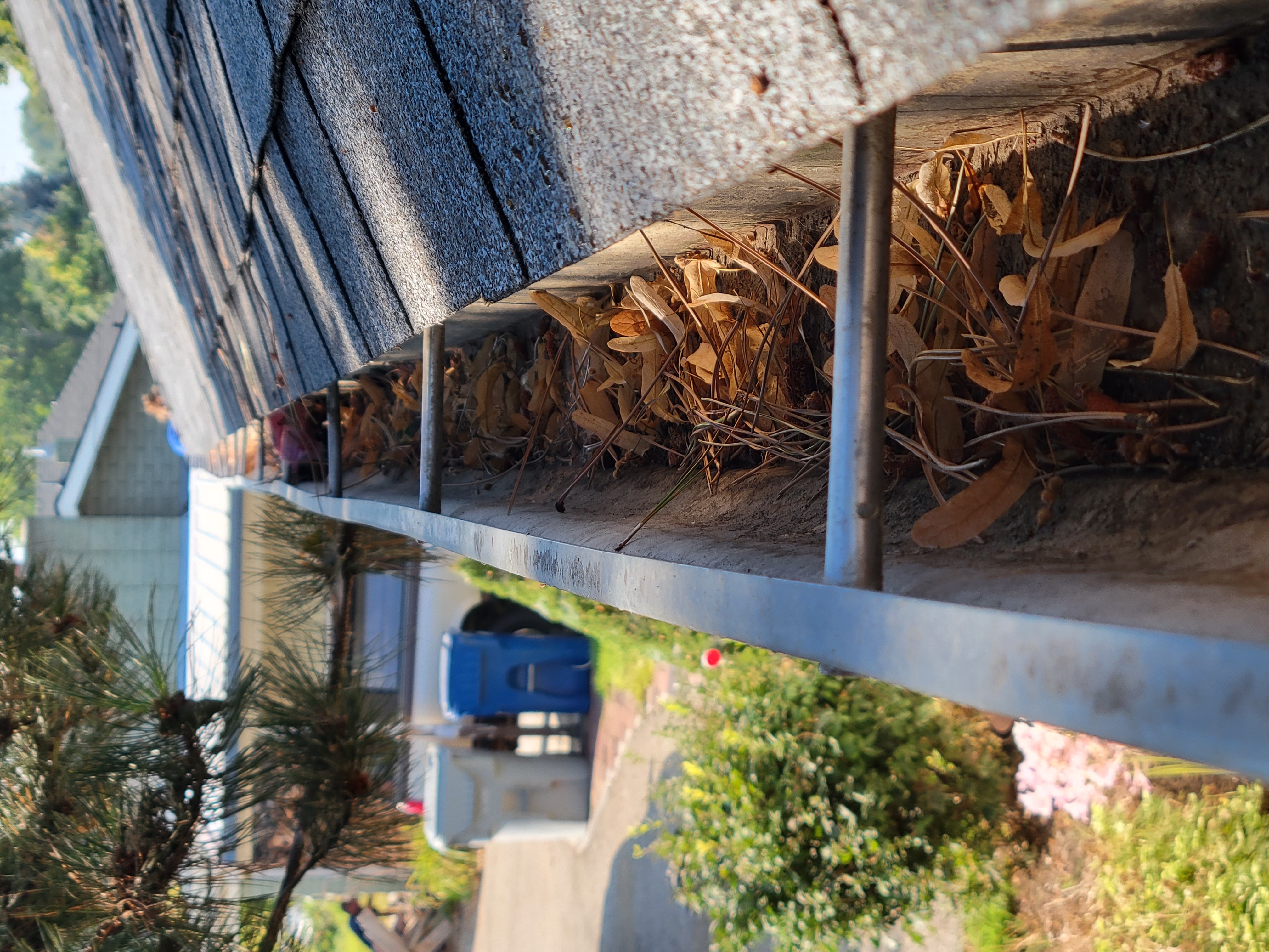 Dirty gutter, clogged gutter
