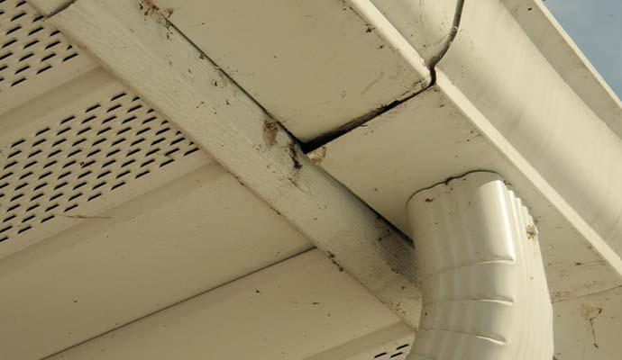Leak roof gutter