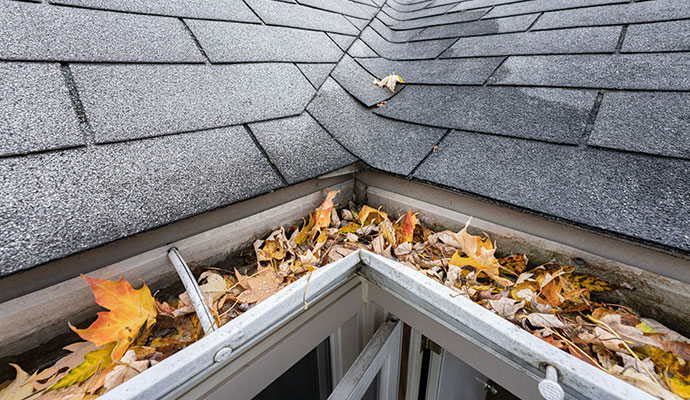 Roof gutter filled with dry leaves
