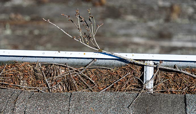 Gutter protection from debris & twigs